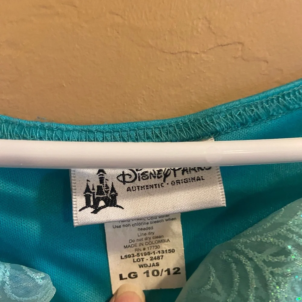 Disney Parks Princess Jasmine Costume size Large 10/12